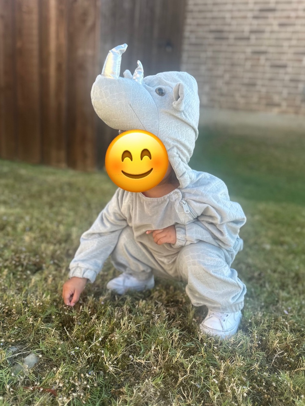 Toddler Rhino Halloween Costume – 18–24 Months
